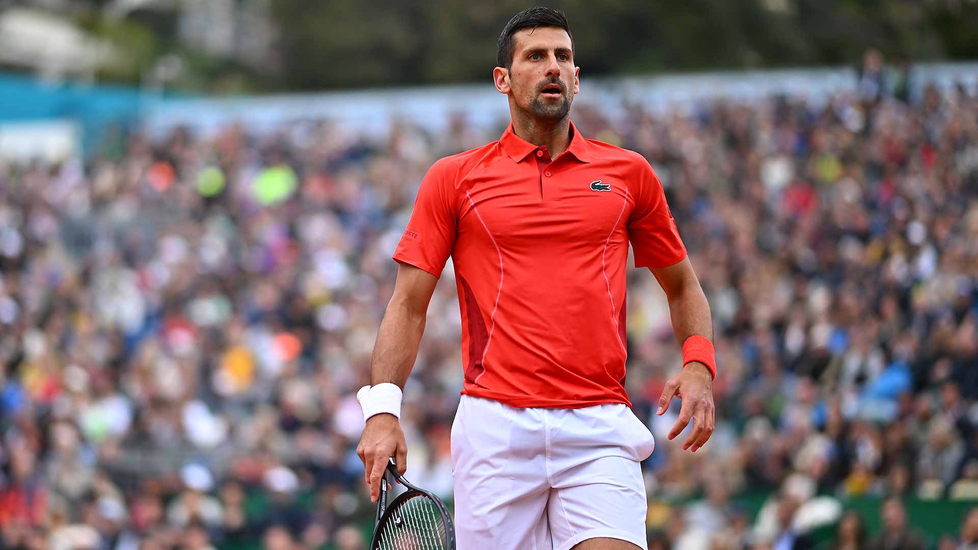 Djokovic, tra kryptonite e “magic moment”