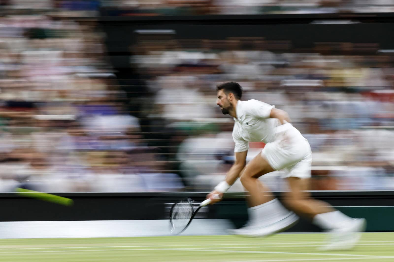 Wimbledon, Sinner e Djokovic: la semifinale dei giganti è servita